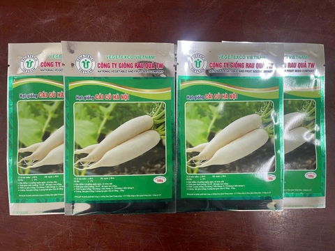 Hạt giống cải củ Hà Nội GRQ 325