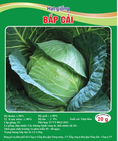 Hạt giống bắp cải