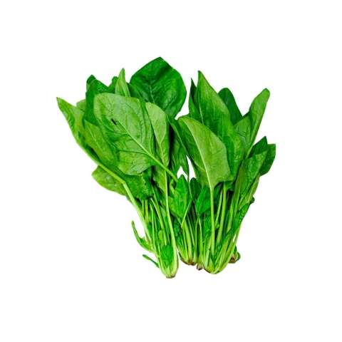 Cải bó xôi hữu cơ