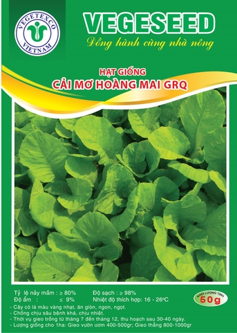 Hạt giống cải mơ hoàng mai  GRQ
