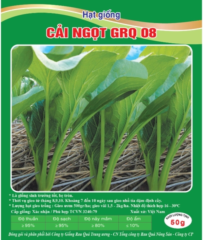 Hạt giống cải ngọt GRQ08