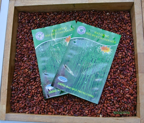 Hạt giống đậu đũa cao sản GRQ 05