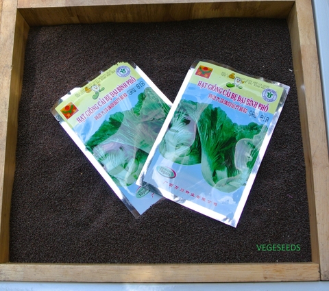 Hạt giống cải bẹ đại bình phổ GRQ 818