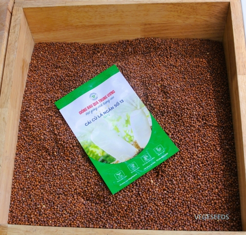 Hạt giống cải củ lá ngắn sô 13 GRQ