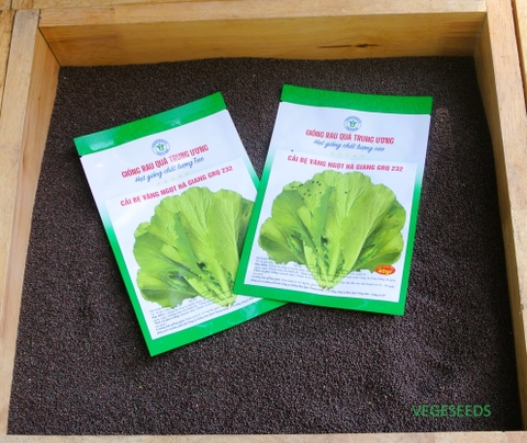 Hạt giống cải bẹ vàng ngọt Hà Giang GRQ 232