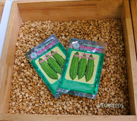 Hạt giống mướp đắng TW 668