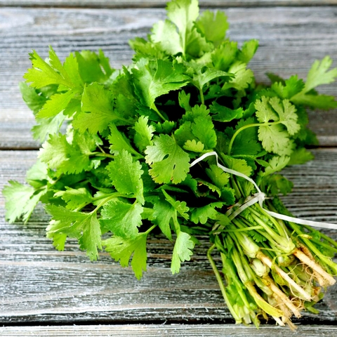 Hạt giống rau ngò om