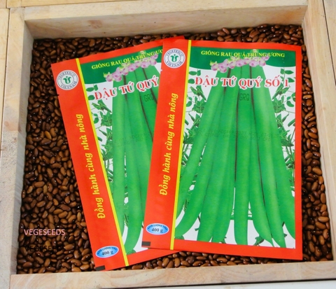 Hạt giống đậu tứ quý số 1 GRQ