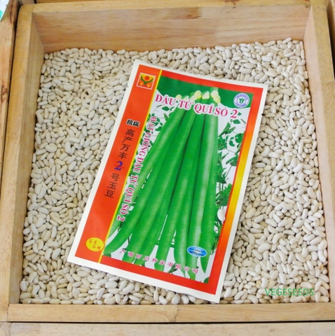 Hạt giống đậu tứ quý số 2 GRQ