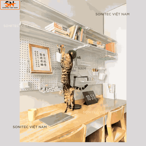 Kệ Đôi Gắn Tường Khung Lưới – Combo Kệ Sách Decor Bàn Học Tiết Kiệm Diện Tích