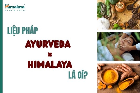 Liệu pháp Ayurveda × Himalaya là gì?