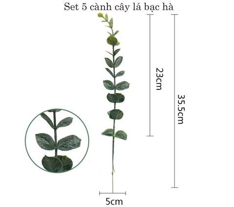 Set 5 cành lá cây bạc hà dài (35-37cm)