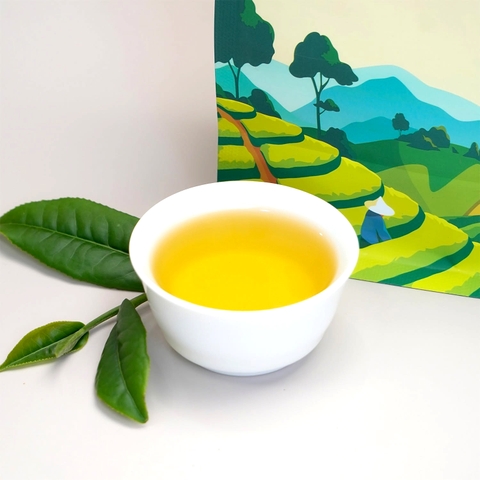 Trà Pha chế Thương hiệu PS - Oolong Camellia