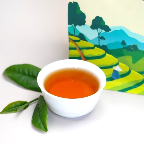 Trà Pha chế Thương hiệu PS - Trà Oolong Rang