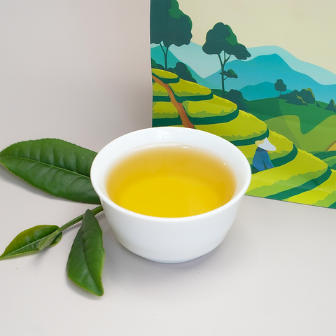 Trà Oolong Lài Pha Chế