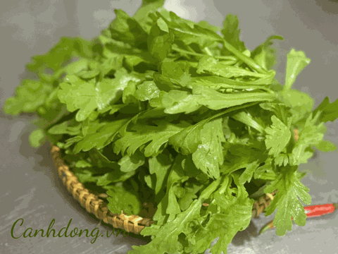 Cải cúc hữu cơ vườn Cây Gạo (kg)