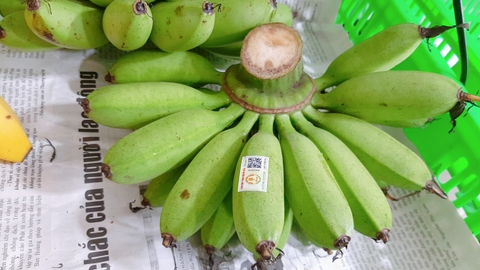 Chuối ngự Đai Hoàng (kg)
