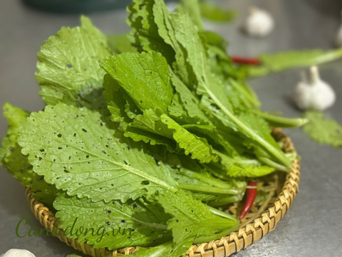Rau cải xanh hữu cơ vườn Cây Gạo (túi 400gr)