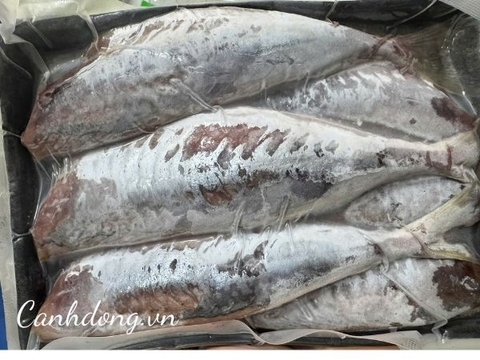 Cá nục bỏ da HTK (khay 500gr)
