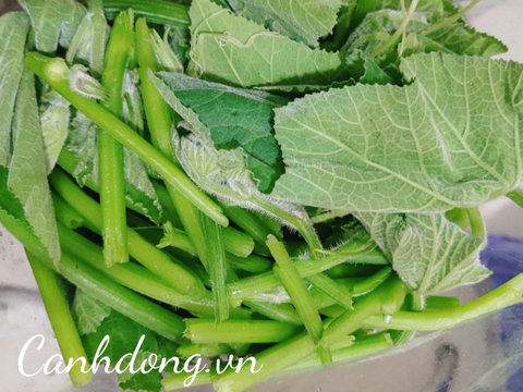 Rau bí hữu cơ Cây Gạo nhặt sẵn (túi 500gr)