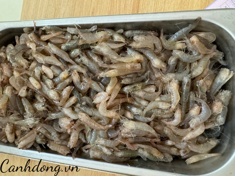 Tôm trứng sông Đà làm sạch (hộp 350g)