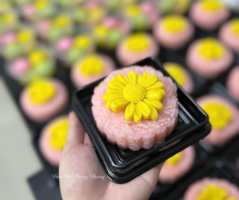 Xôi Hồng Hoa Cúc - Thôi nôi tông hồng nhạt