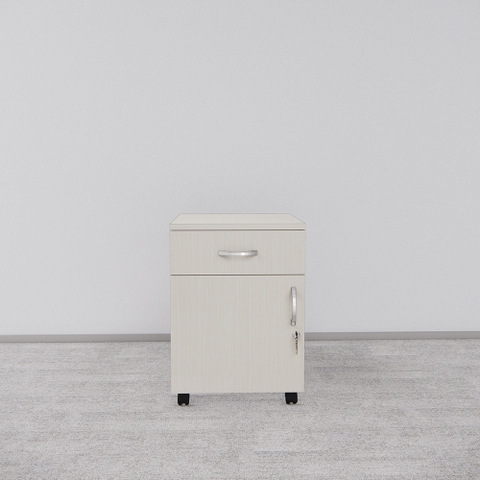 Tủ Hồ Sơ Di Động SMTDD002 40cm x55cm
