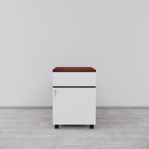 Tủ Hồ Sơ Di Động SMTDD003 40cm x55cm