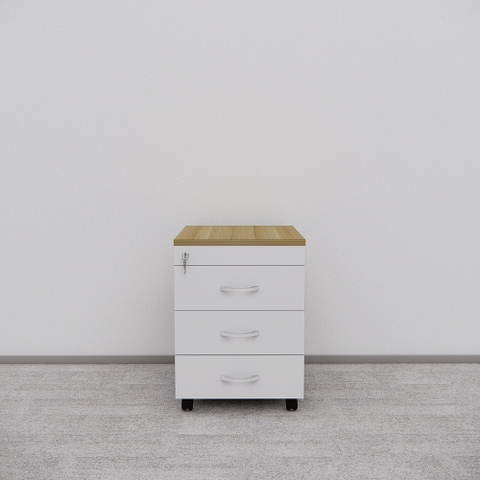Tủ Hồ Sơ Di Động SMTDD008 40cm x55cm