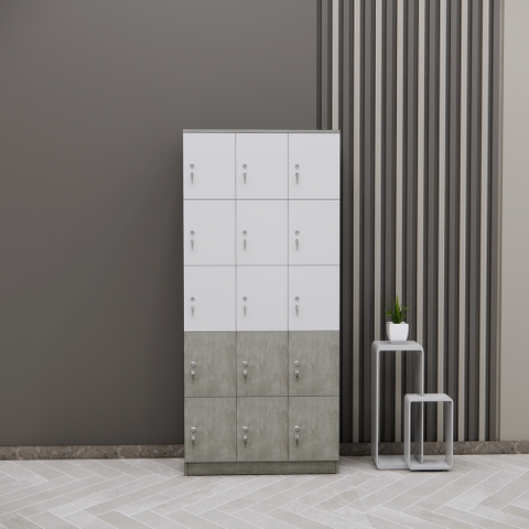 Tủ Locker SMTLKG002 200cm x90cm