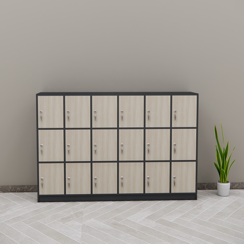 Tủ Locker SMTLKG009 120cm x180cm