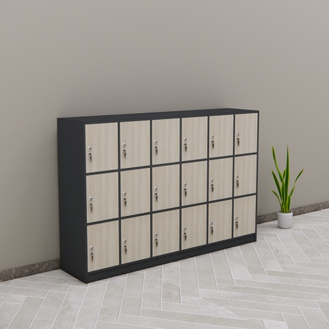 Tủ Locker SMTLKG009 120cm x180cm