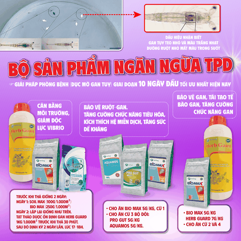 BỘ SẢN PHẨM NGĂN NGỪA TPD