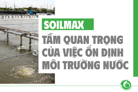 TẦM QUAN TRỌNG CỦA VIỆC ỔN ĐỊNH MÔI TRƯỜNG NƯỚC