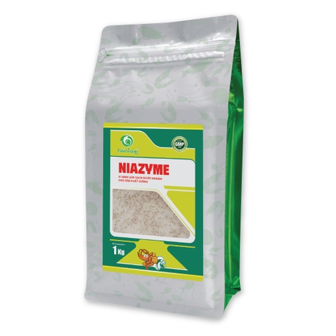 NIAZYME - Vi sinh làm sạch nước nhanh cho sản xuất giống tôm