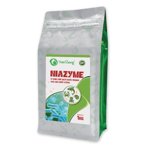 NIAZYME - Vi sinh làm sạch nước nhanh cho sản xuất giống