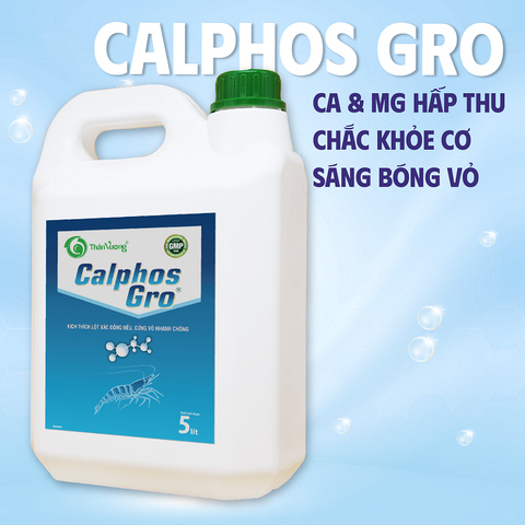 CALPHOS GRO - Kích thích lột xác đồng đều, cứng vỏ nhanh chóng