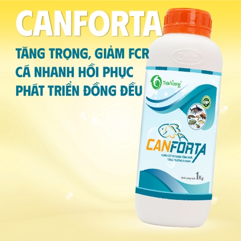 CANFORTA - Cung cấp vitamin và acid amin
