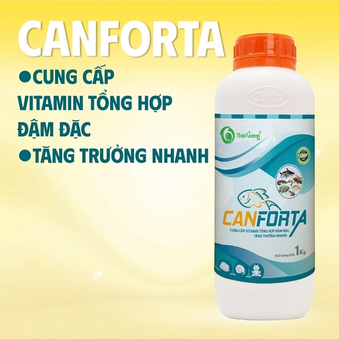 CANFORTA - Cung cấp vitamin hỗn hợp đậm đặc, tăng trọng nhanh