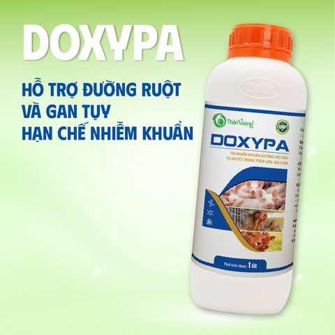 Kháng sinh cho nhiễm trùng đường hô hấp DOXYPA
