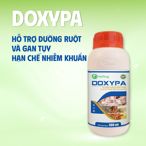 Kháng sinh cho nhiễm trùng đường hô hấp DOXYPA