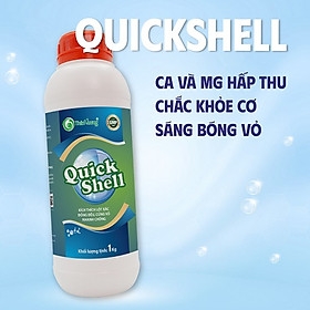 QUICKSHELL - Khoáng sữa vàng bổ sung hàm lượng cao Canxi và Magie