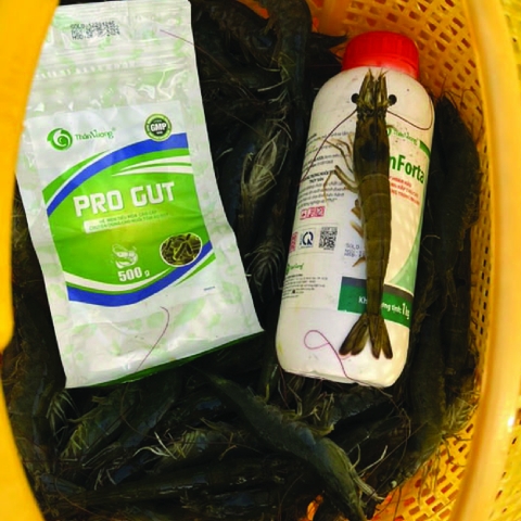 PRO GUT - Tăng cường sức khỏe đường ruột, hấp thu tốt thức ăn
