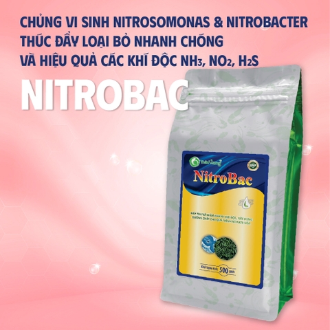 NITROBAC - Hấp thụ khí độc ao nuôi tôm cá