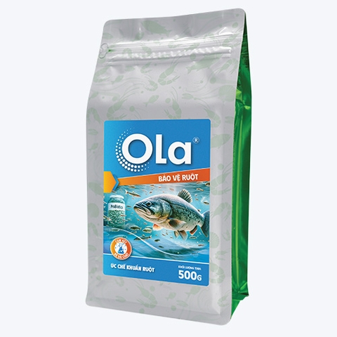 OLA BẢO VỆ RUỘT: Ức chế khuẩn ruột, tăng cường hấp thu