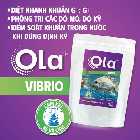 OLA VIBRIO: Ngăn ngừa vi khuẩn Gram- và Gram+
