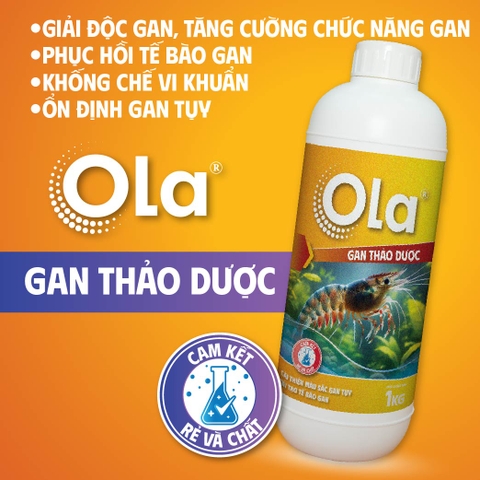 OLA GAN THẢO DƯỢC: Giải độc gan, tăng cường chức năng gan, phục hồi tế bào gan, ổn định gan tụy