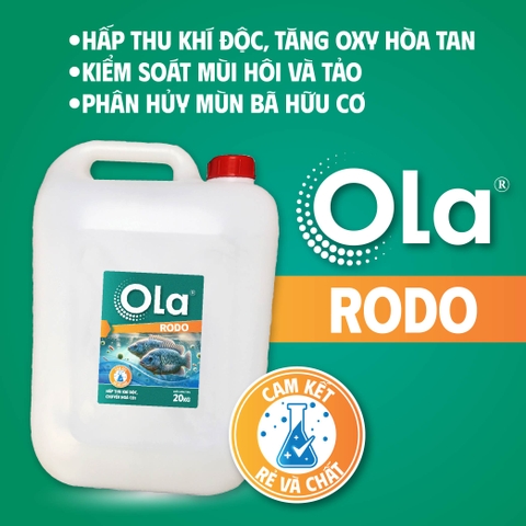 OLA RODO: Hấp thu khí độc, chuyển hóa CO2