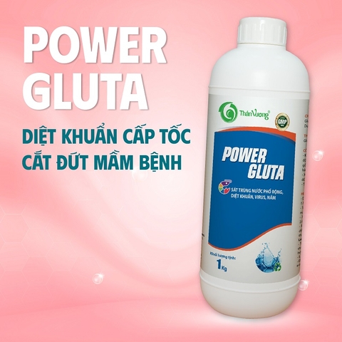 POWER GLUTA - Sát trùng nước phổ rộng, diệt khuẩn, virus, nấm