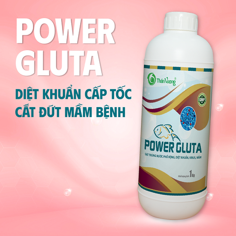POWER GLUTA - Sát trùng nước phổ rộng, diệt khuẩn, virus, nấm